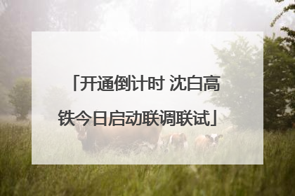 开通倒计时 沈白高铁今日启动联调联试